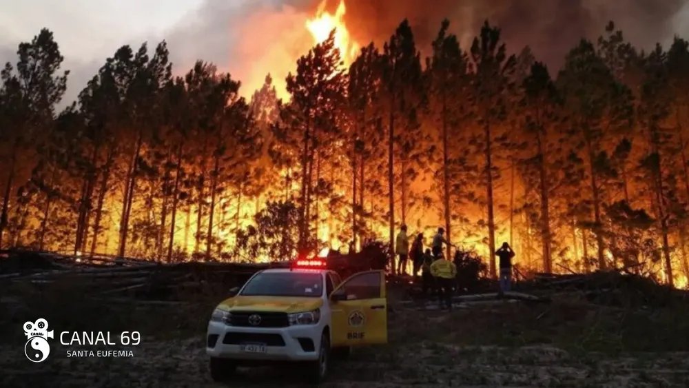 DAPortada web - 2024-09-30T111708.685