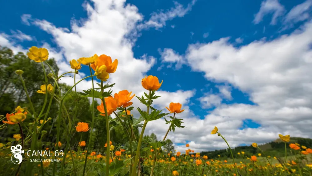 DAPortada web - 2024-09-23T021633.253