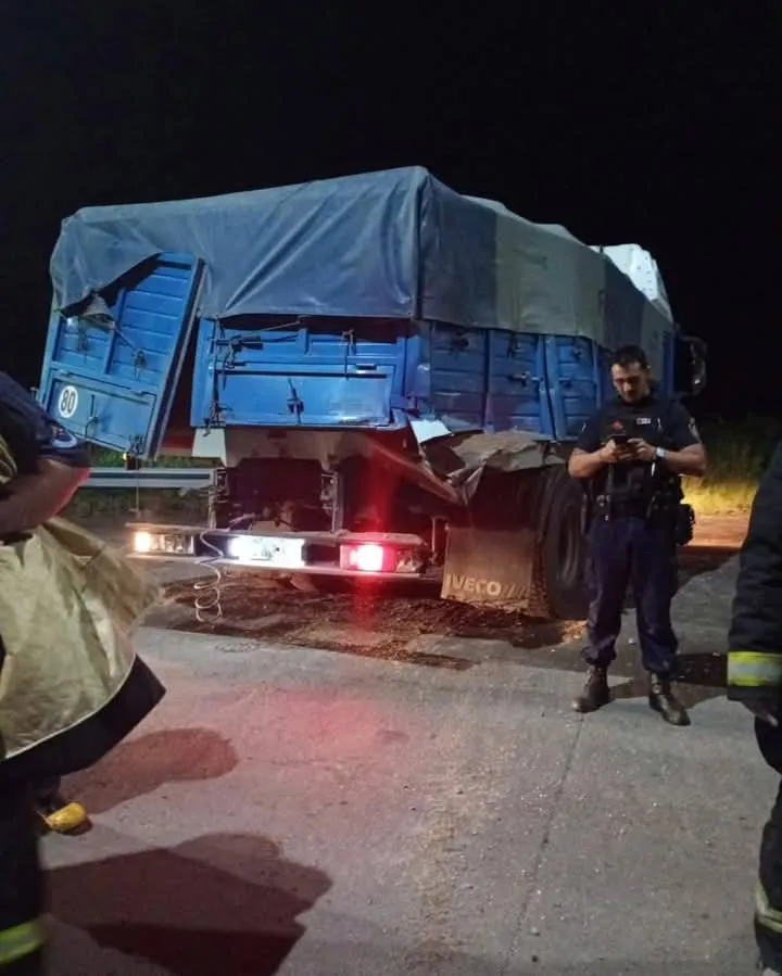 FB_IMG_1740655146257