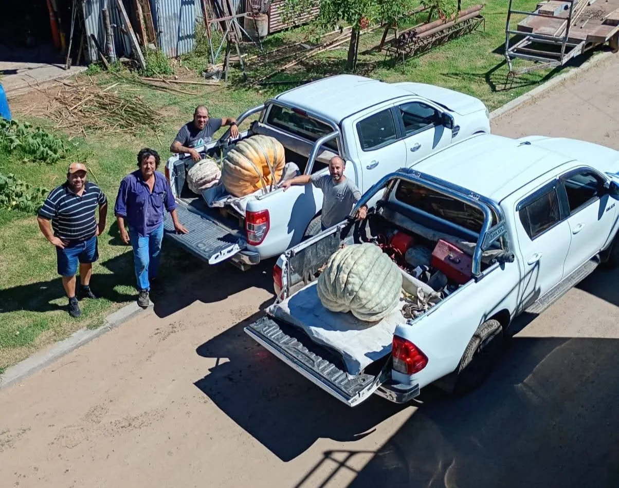 julio-flores-zapallo-gigante-alejandro-roca