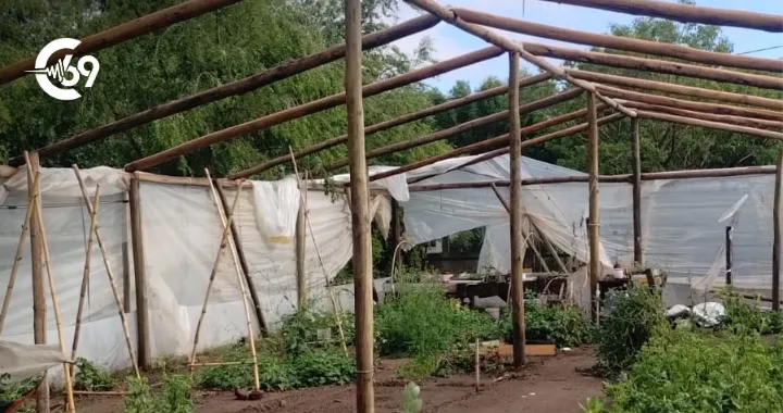 El Vivero Municipal de Santa Eufemia sufrió graves daños tras el fuerte temporal