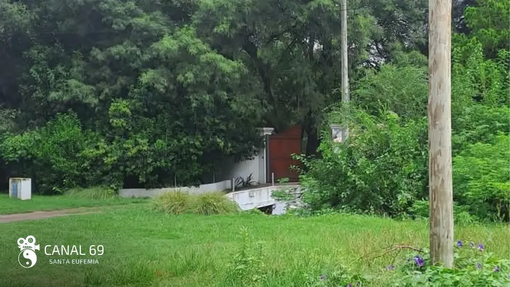 DAPortada web_20250301_160708_0000