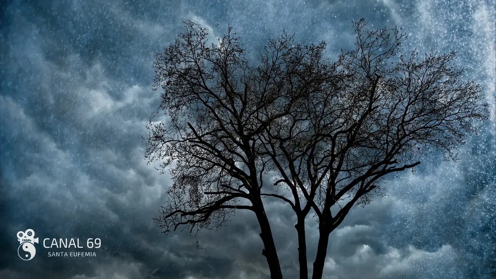 DAPortada web_20241017_075530_0000