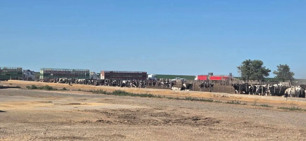 FB_IMG_1768816094456