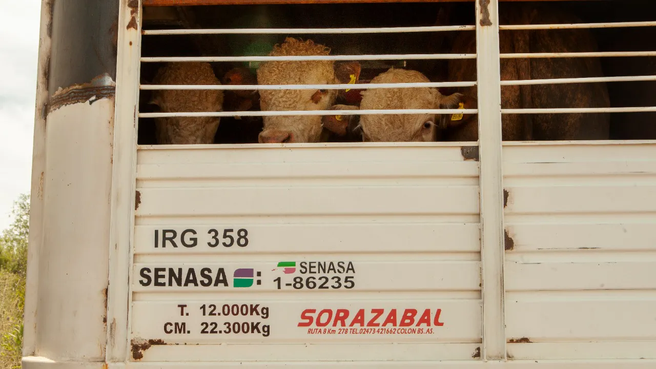 20-07-03_ba_transporte_1