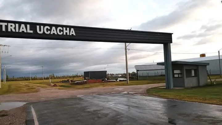 FB_IMG_1734048192848