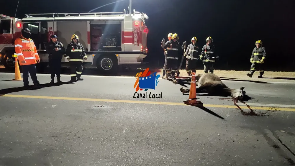 FB_IMG_1751722966830