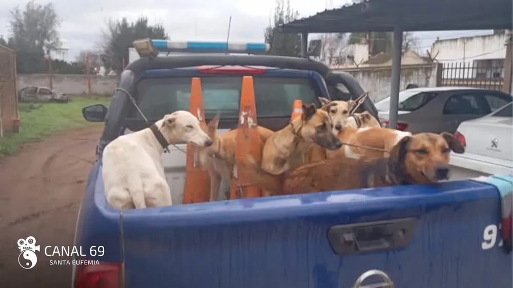 DAPortada web_20250527_095624_0000