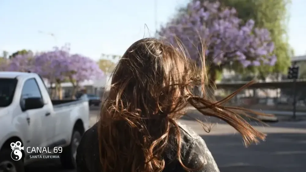 DAPortada web - 2024-09-26T022932.718