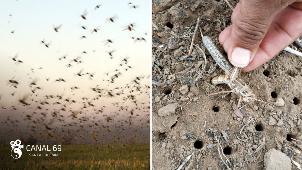 DAPortada web - 2024-08-02T154754.253