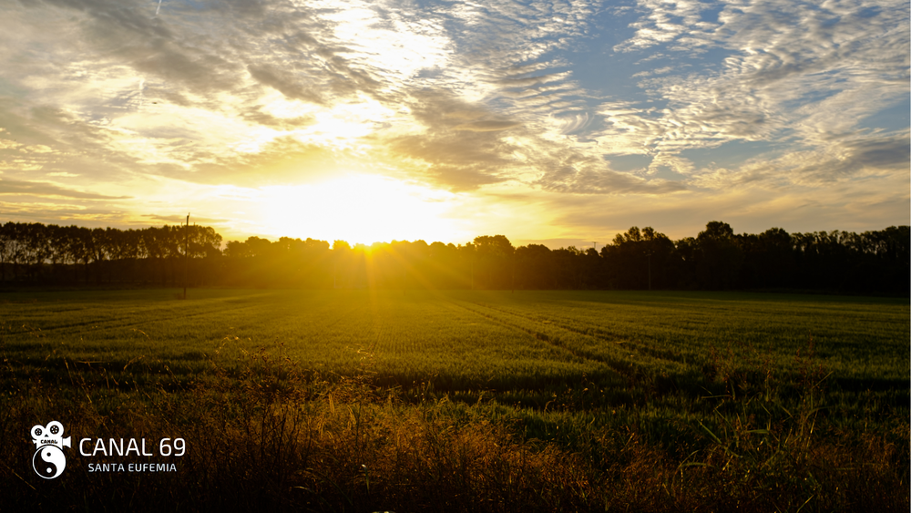 DAPortada web - 2024-08-15T030445.485