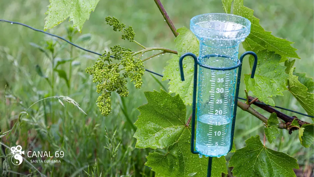 DAPortada web_20241018_121452_0000