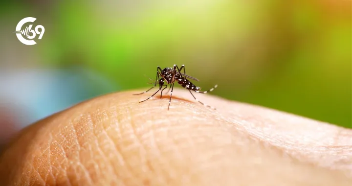 Portada C69 - 2026-01-23T065812.548