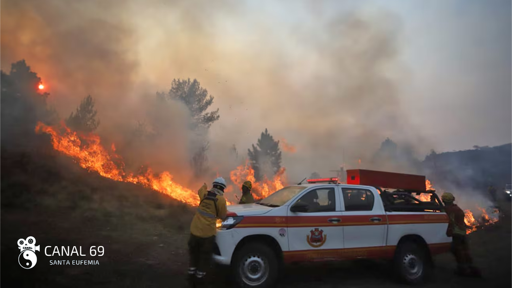 DAPortada web - 2024-09-03T082147.590