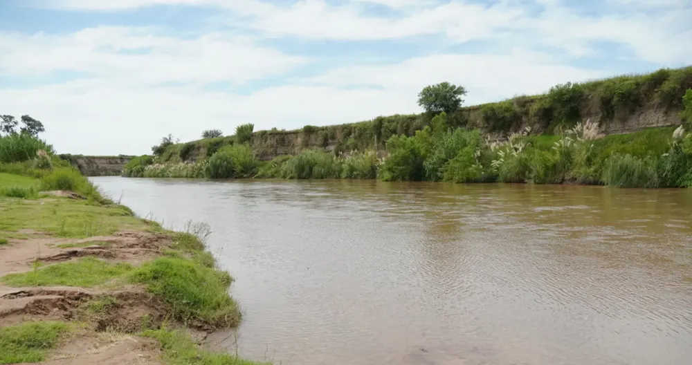 nuevo-pulmon-verde-en-los-cisnes-sur-de-cordoba