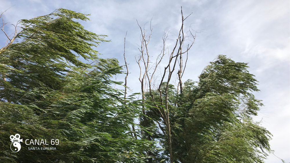 DAPortada web - 2024-08-28T031354.483