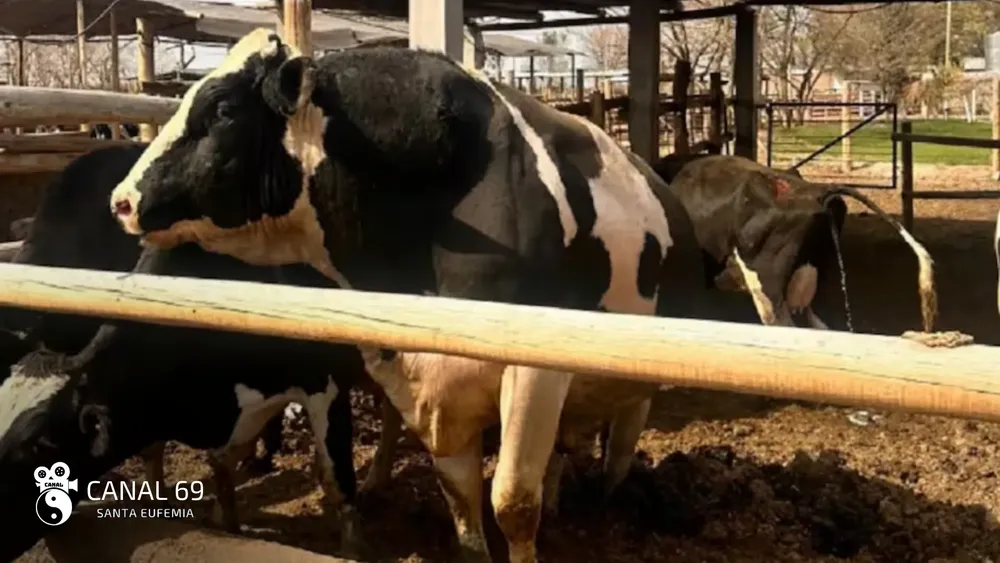 DAPortada web - 2024-09-28T120826.537