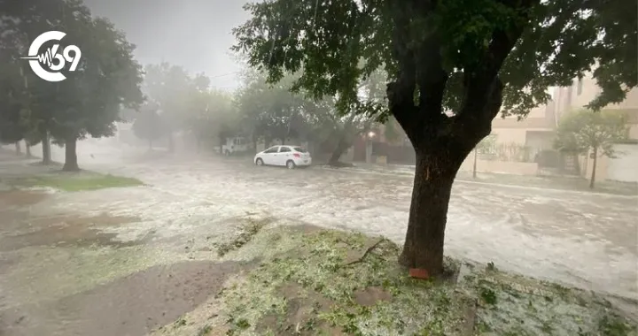 Portada C69 - 2025-10-24T153631.845