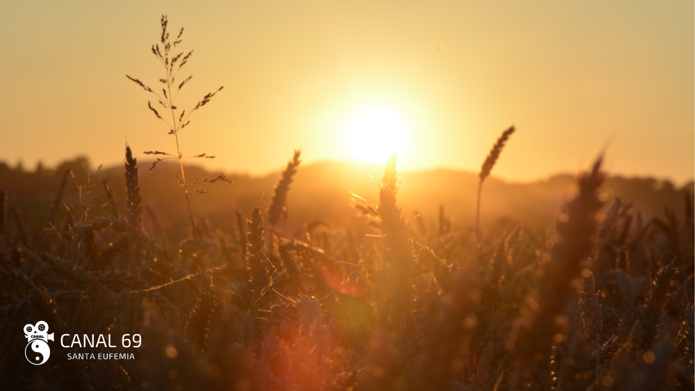 DAPortada web - 2024-09-06T031358.151