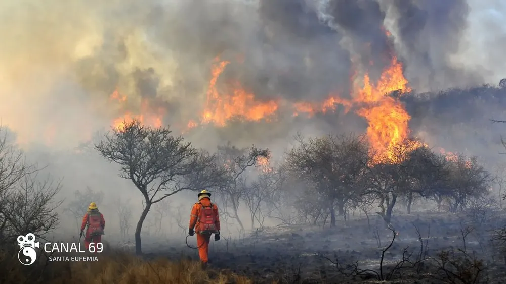 DAPortada web - 2024-09-19T162105.055