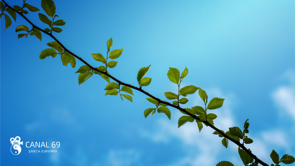 DAPortada web - 2024-08-11T015949.798