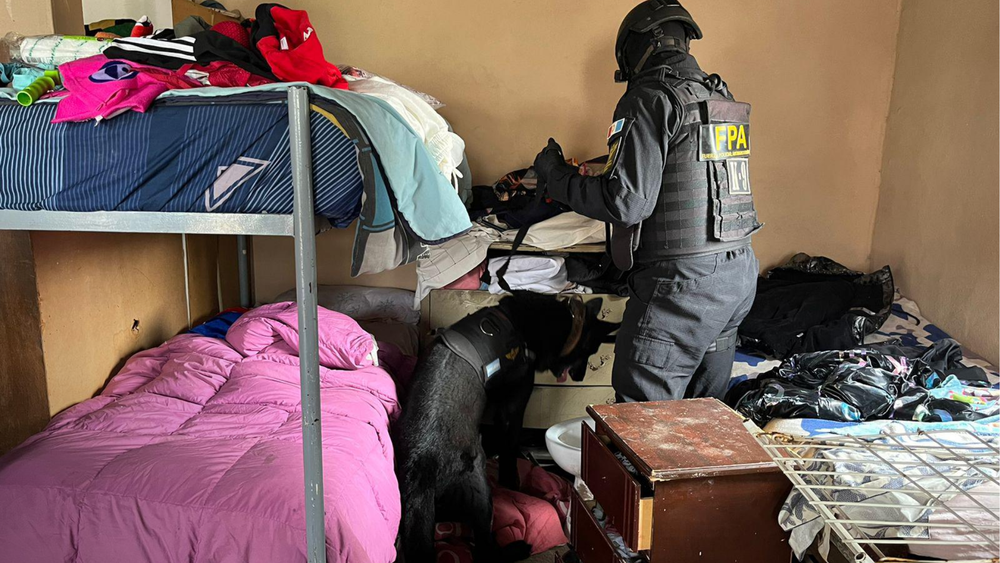 DAPortada web - 2024-08-03T113549.467