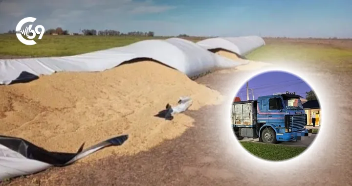 Portada C69 - 2025-10-01T080327.604