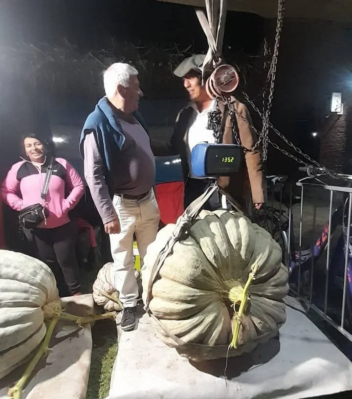 zapallo-gigante-alejandro-roca