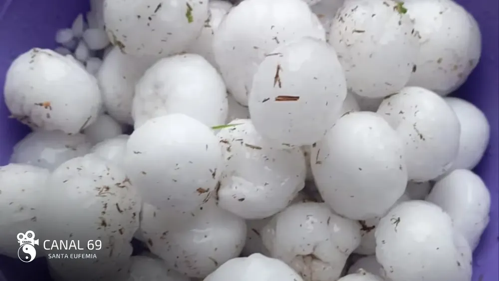 DAPortada web_20241017_114951_0000