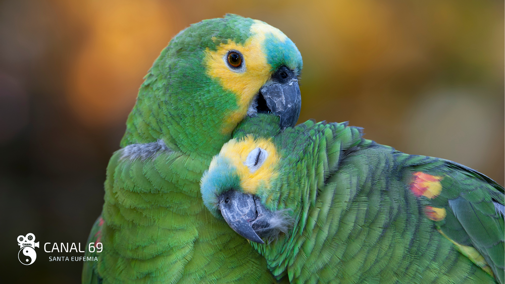 DAPortada web - 2024-08-29T092109.817