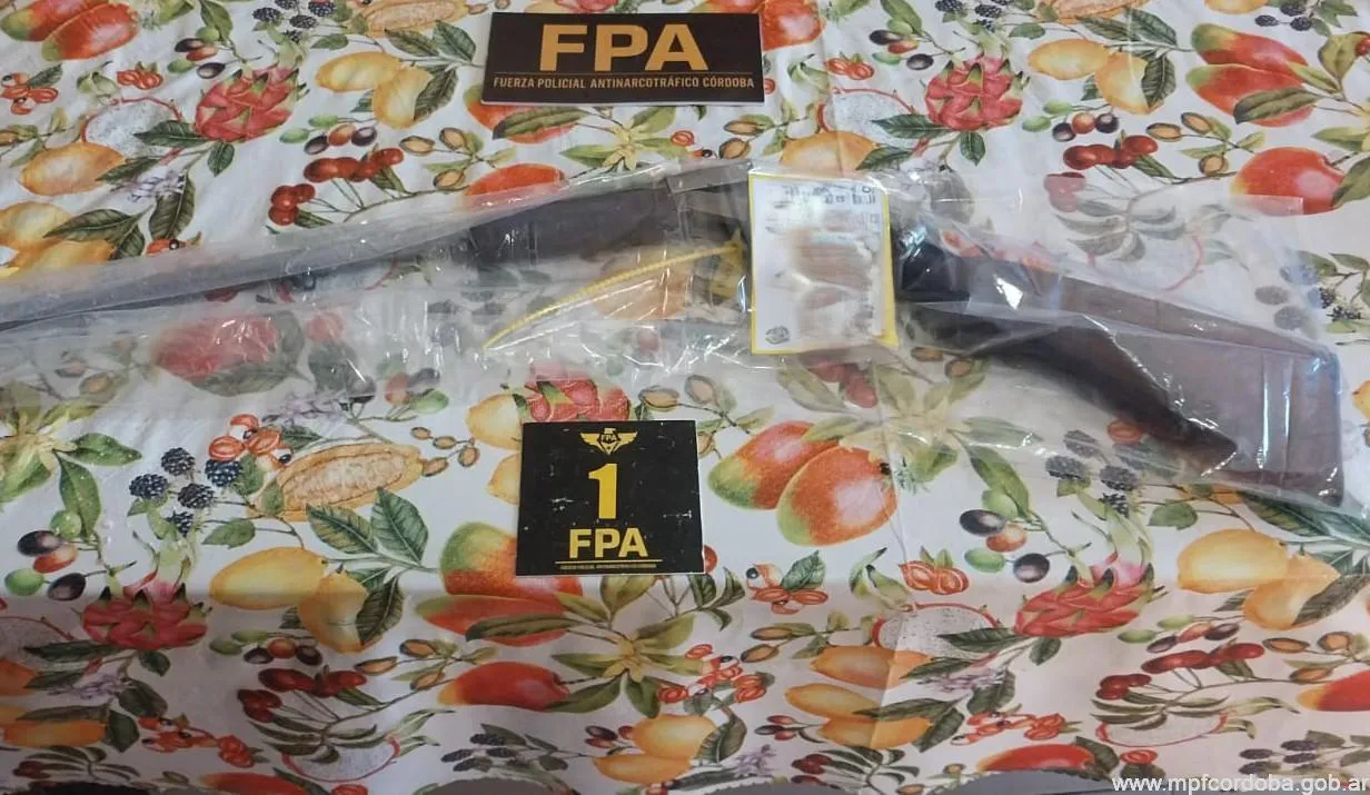 WhatsApp-Image-2026-02-19-at-16.41.33