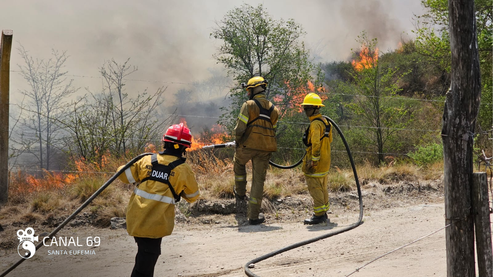 DAPortada web - 2024-09-02T103853.409