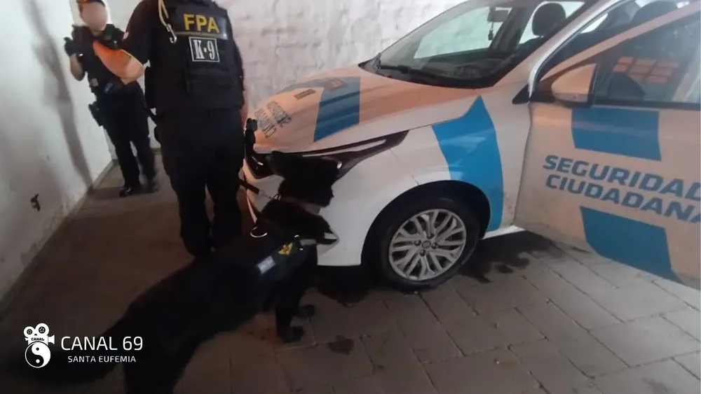 DAPortada web_20241203_090355_0000