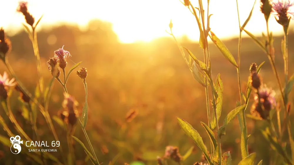 DAPortada web - 2024-10-05T024608.558