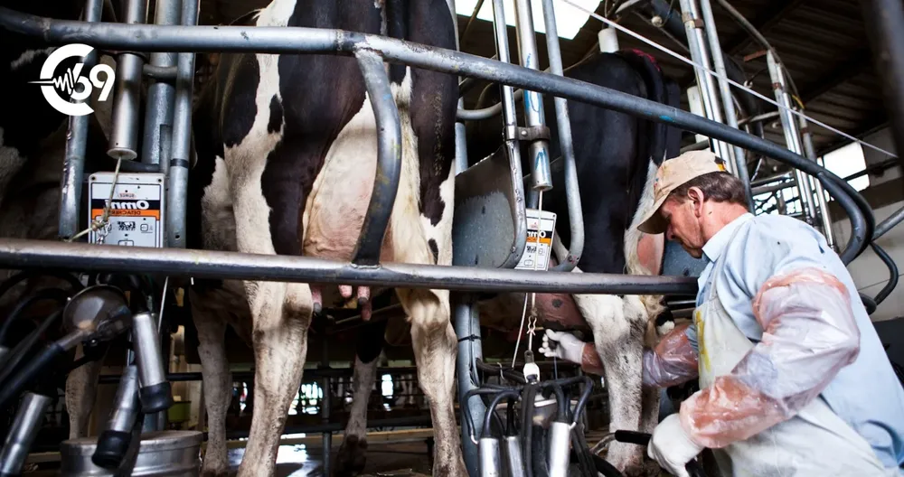 récord-argentina-registró-la-producción-lactea-en-10-años-crecen-exportaciones