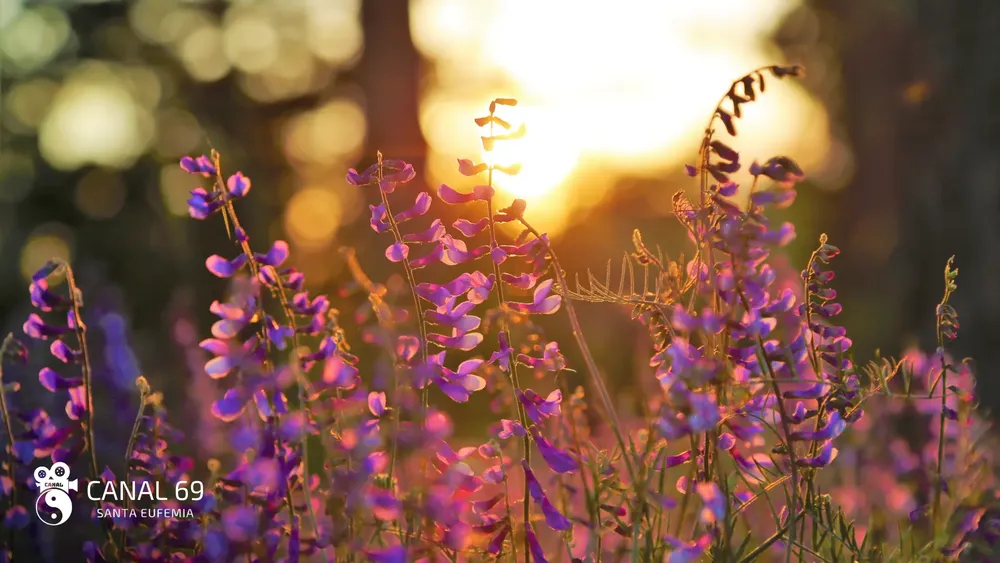 DAPortada web - 2024-09-24T025355.435