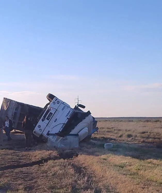 FB_IMG_1754486013718